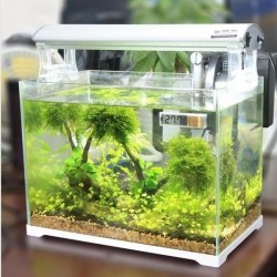 Teploměr Clearstyle 2