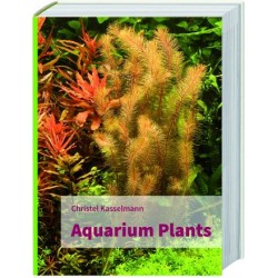 Aquarium plants