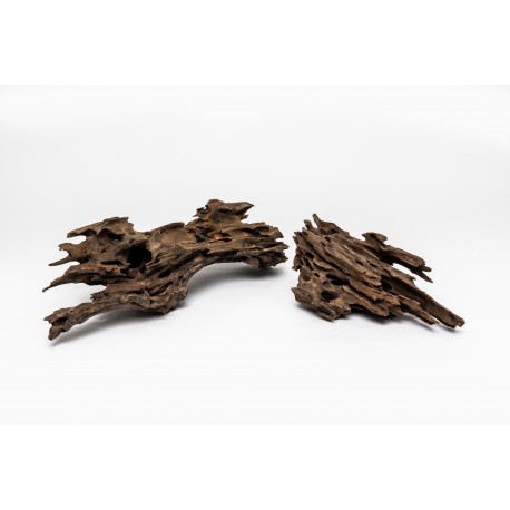 Dragon Wood