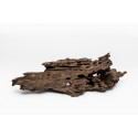 Dragon Wood