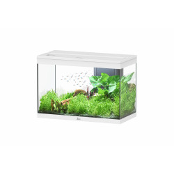 Aquatlantis SPLENDID 80x40x56 2