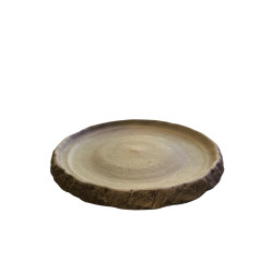 Miska pro želvy 17 cm