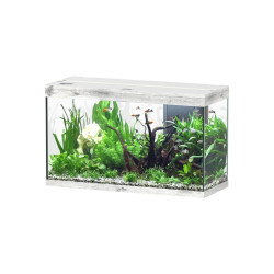 Aquatlantis SPLENDID ULTRA 100x40x61