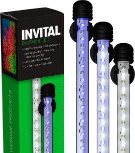 INVITAL LED denní a noční osvětlení